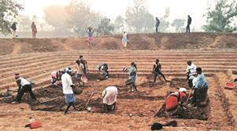 मनरेगा कर्मियों को आठ माह से नहीं मिला मानदेय