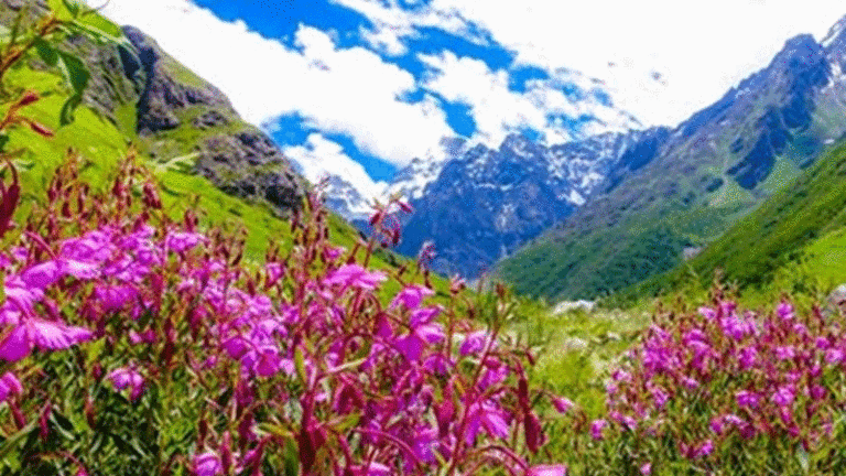 विश्व पर्यटन धरोहरों में शुमार फूलों की घाटी खोलने की तैयारियां जोरों पर