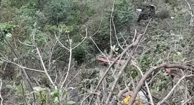 यमुनोत्री राजमार्ग पर डामटा के पास बस खाई में गिरी, 22 यात्रियों की मौत