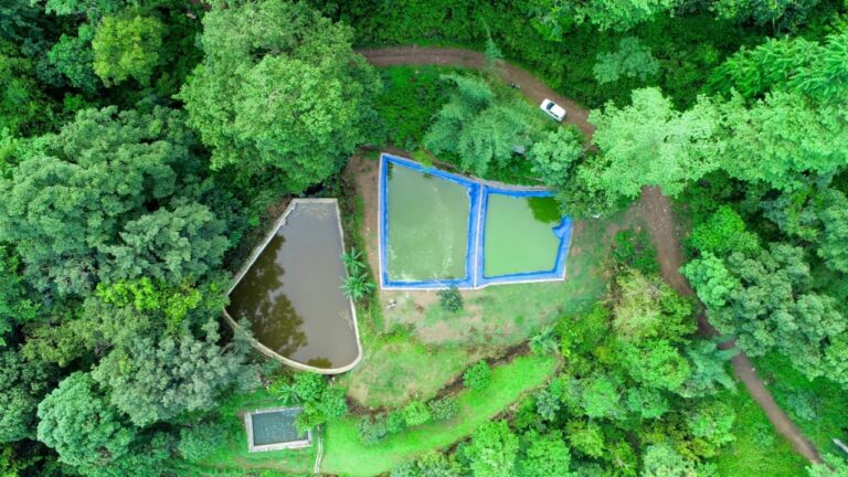 जिले में मत्स्य उत्पादन में उछाल, किसानों की बढ़ी आमदनी